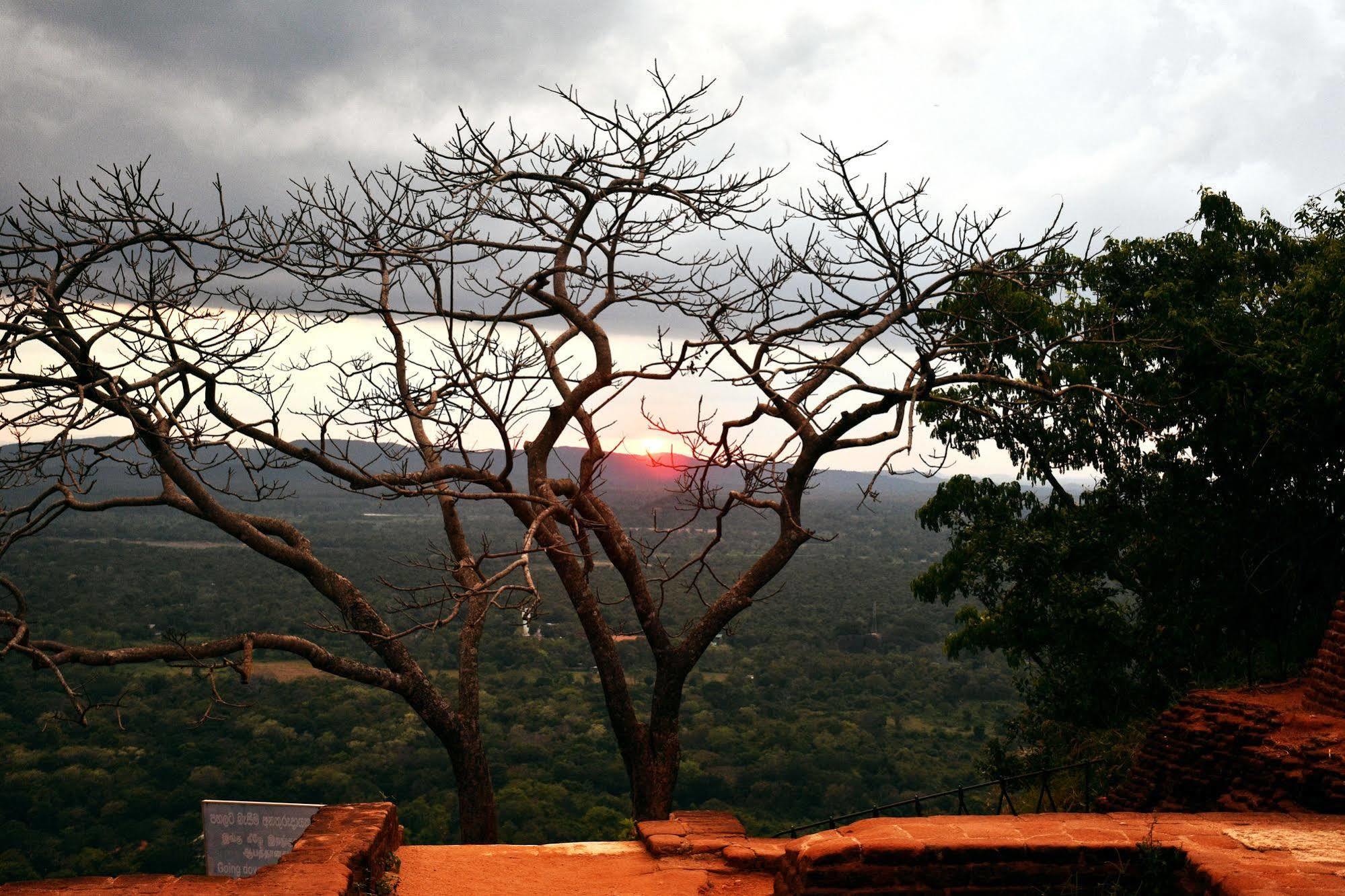 Cassandra Culture Resort Sigiriya Exteriör bild